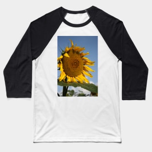 Bright and Colorful Kansas Sunflower Baseball T-Shirt